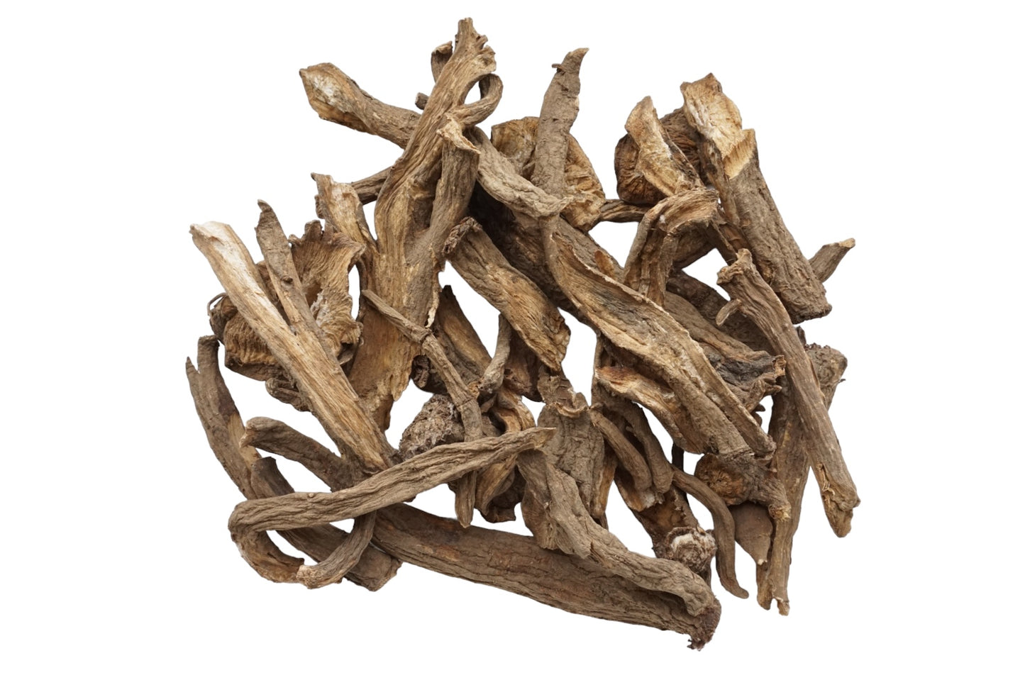 Burdock Root