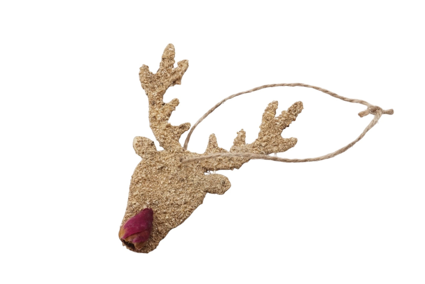 Rudolph The Reindeer