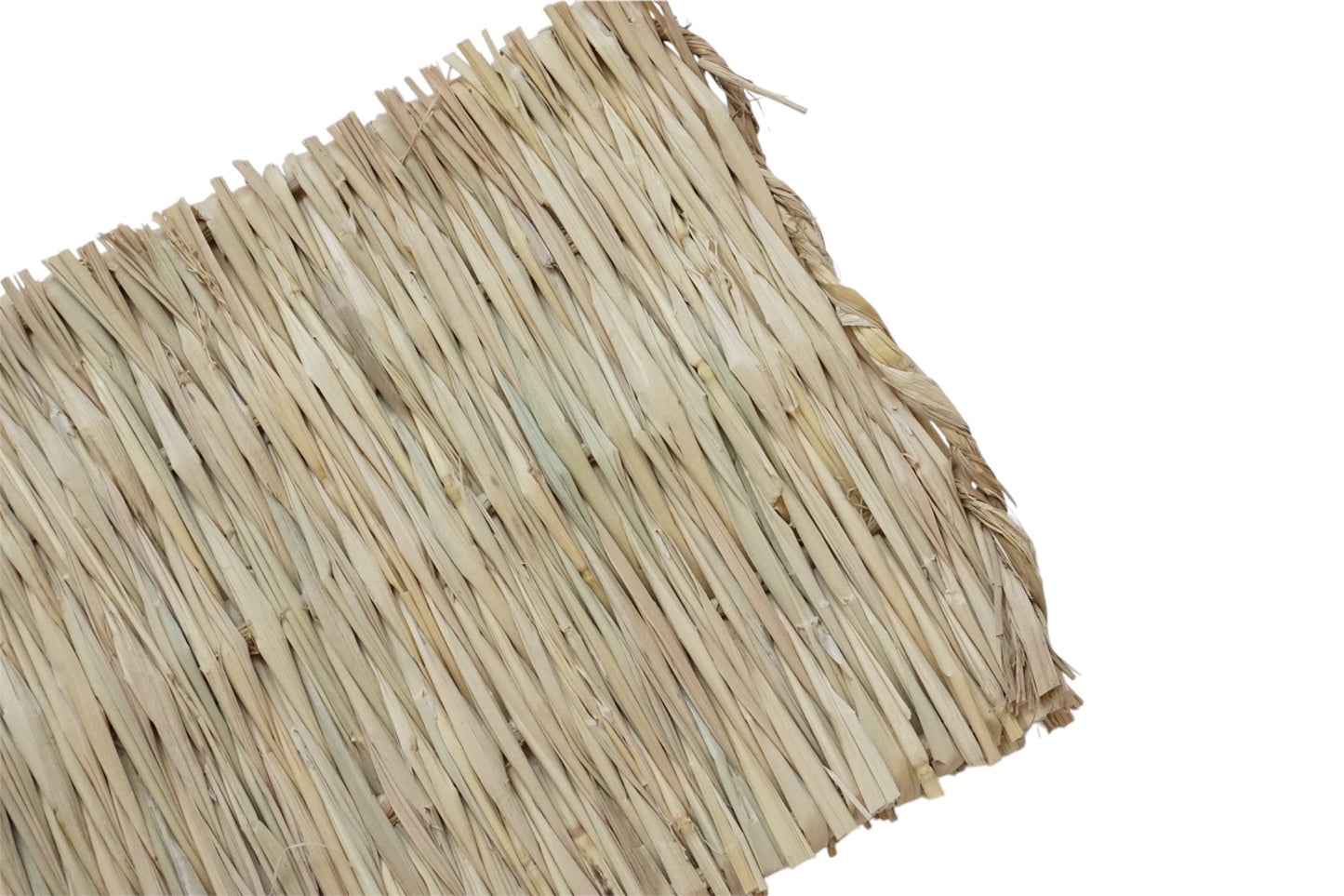 Grassy Seagrass Chew Mat