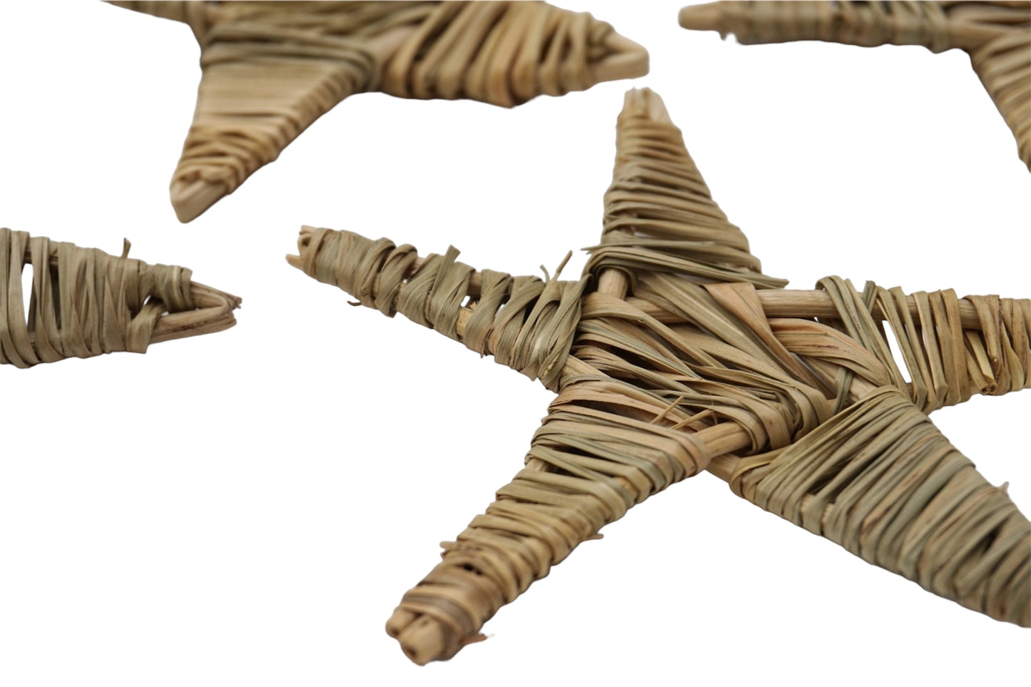 Seagrass Stars
