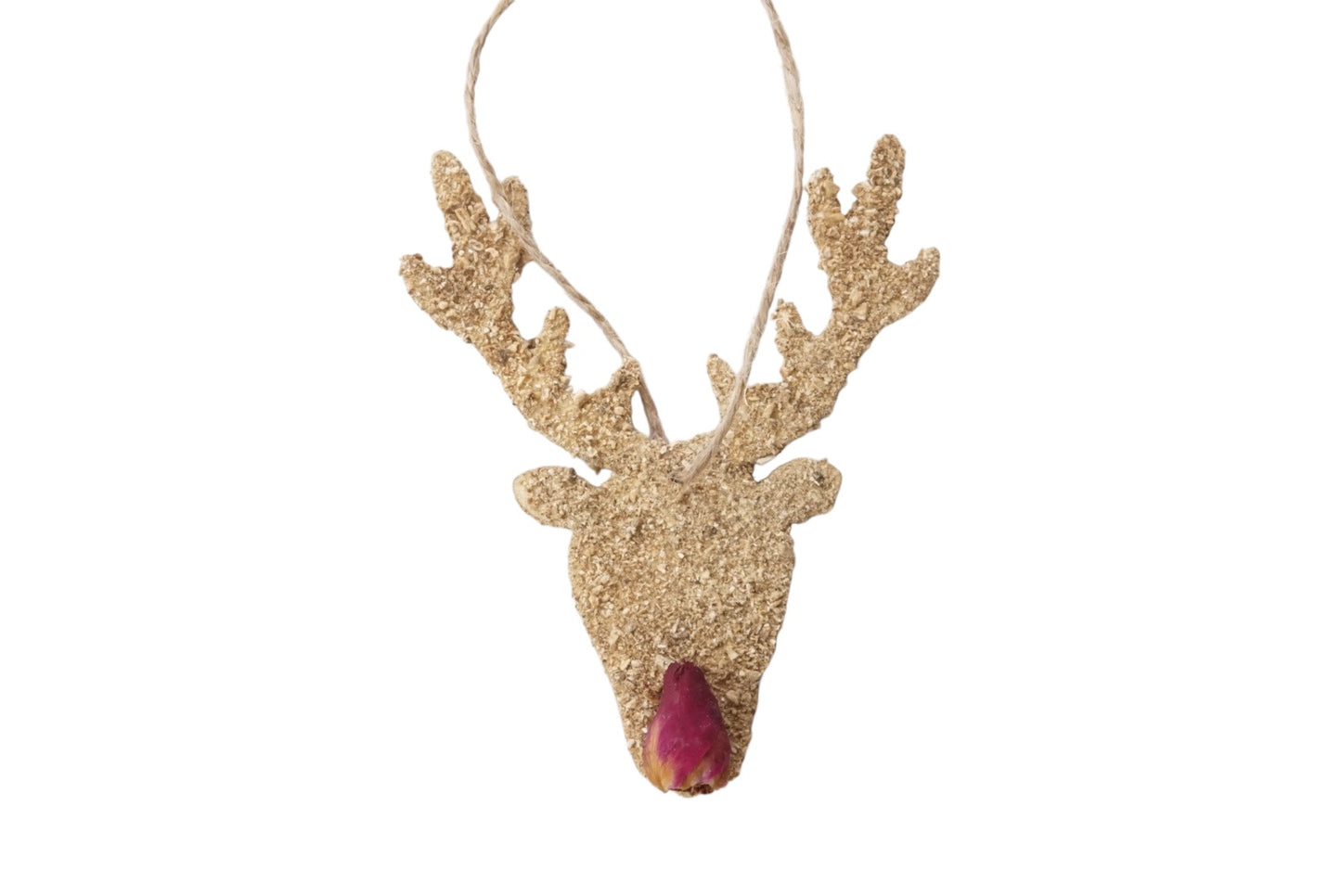 Rudolph The Reindeer