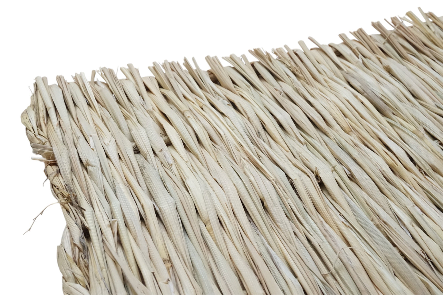 Grassy Seagrass Chew Mat