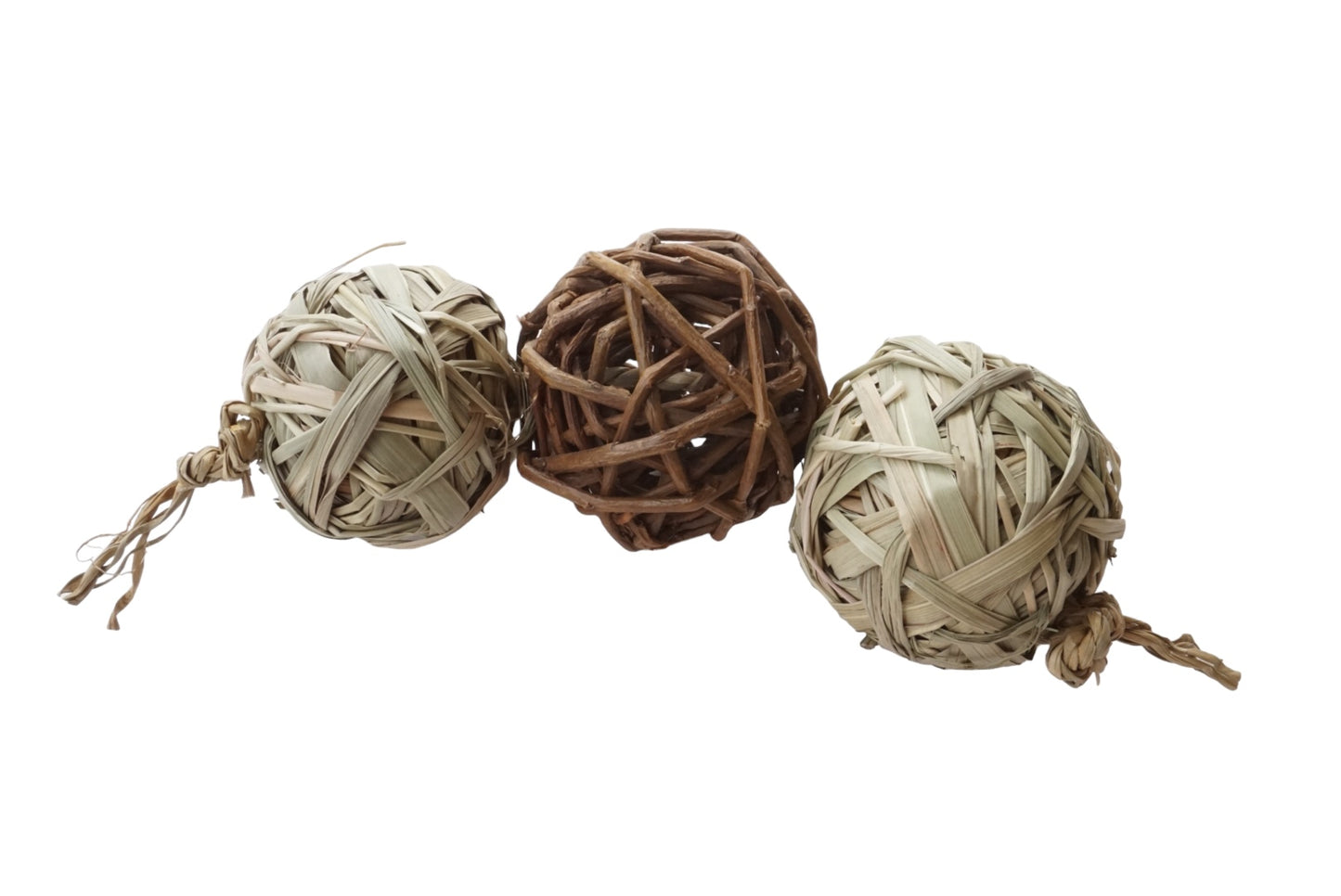 The Willow-Haymister