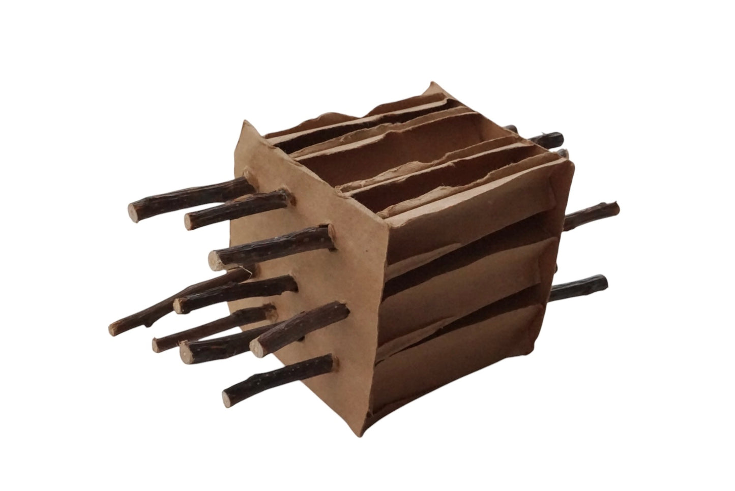 Apple Stick stuffed Cardboard Enrichment