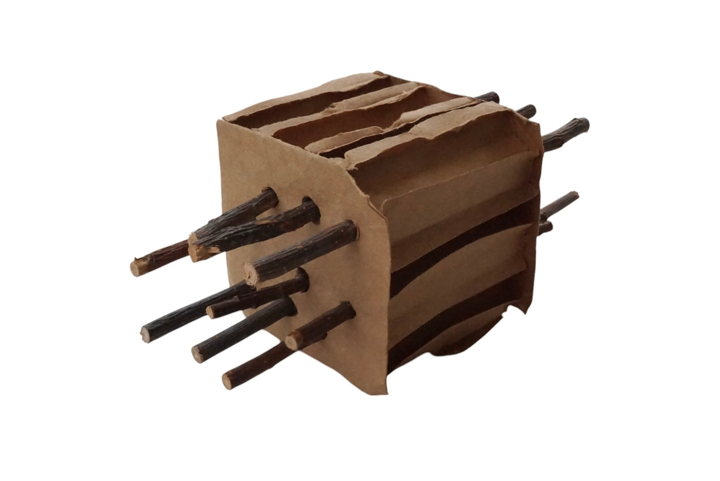 Apple Stick stuffed Cardboard Enrichment