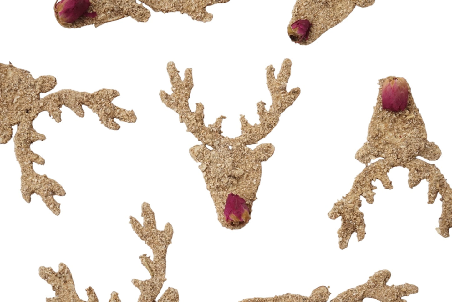 Rudolph The Reindeer