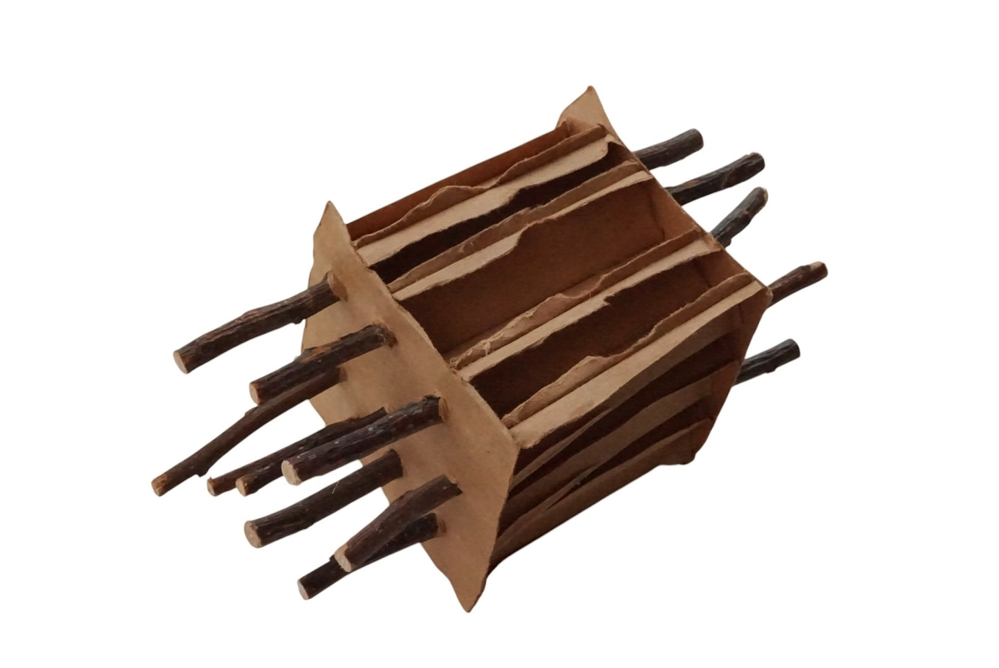 Apple Stick stuffed Cardboard Enrichment
