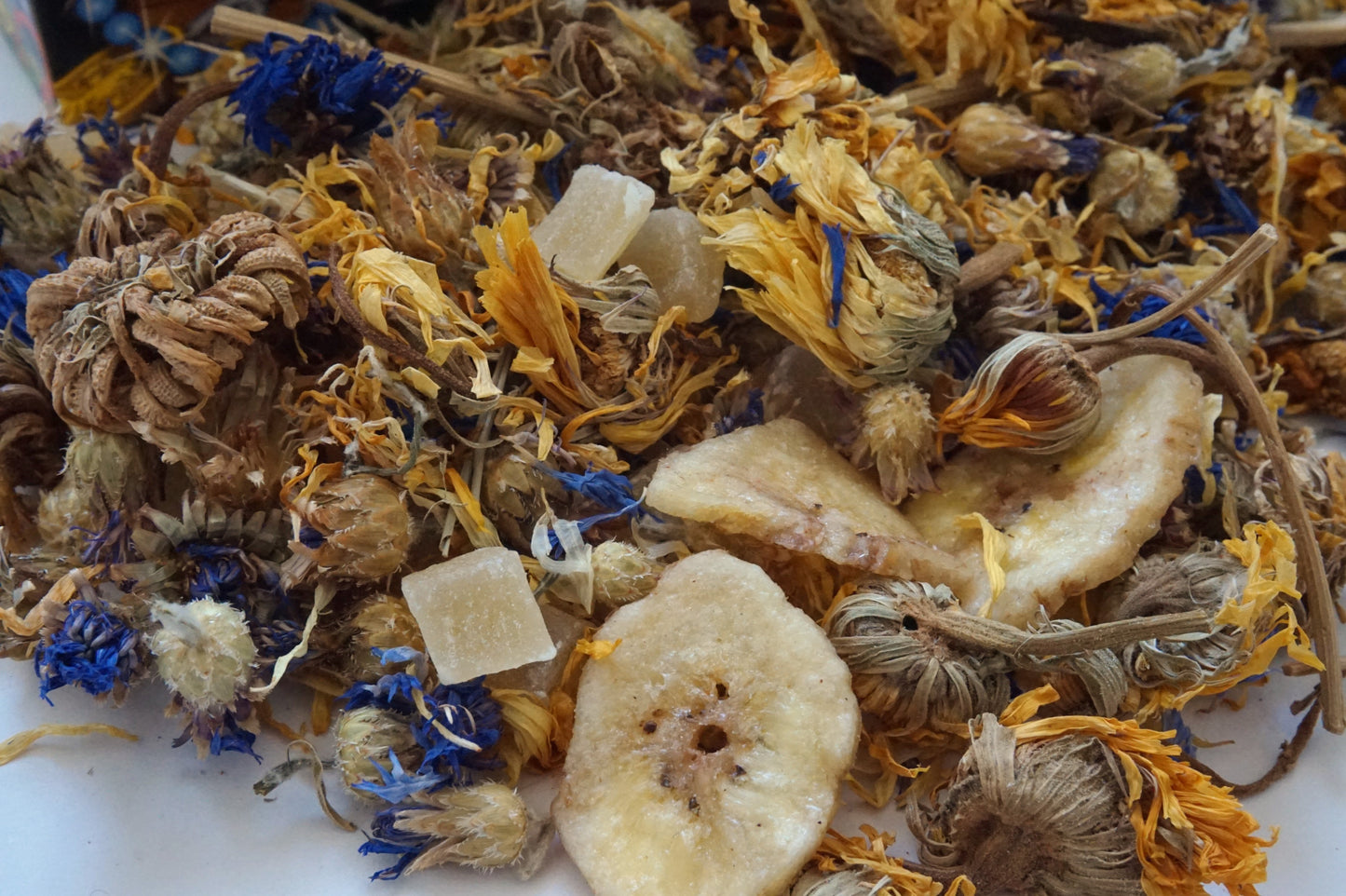 Pirate Treasure Forage - The Binky Bunny Club