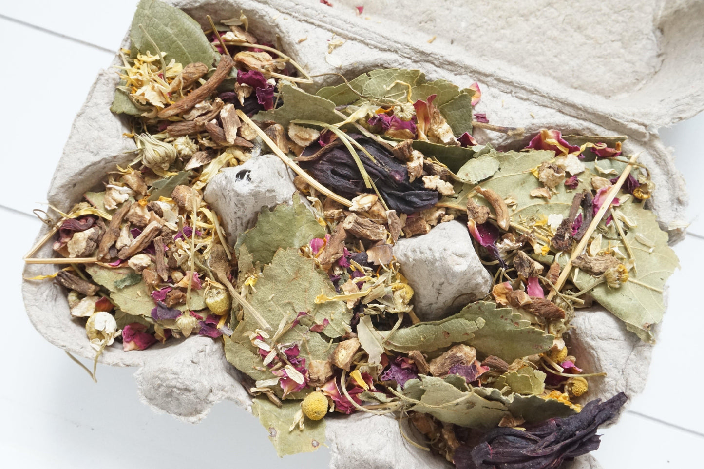 Eggs Carton Forage - The Binky Bunny Club