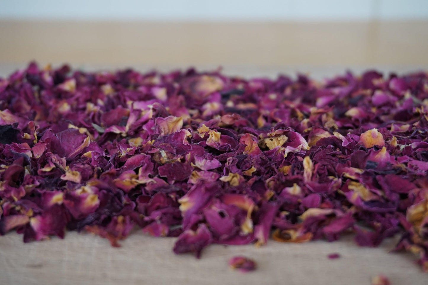 Rose Petals - The Binky Bunny Club