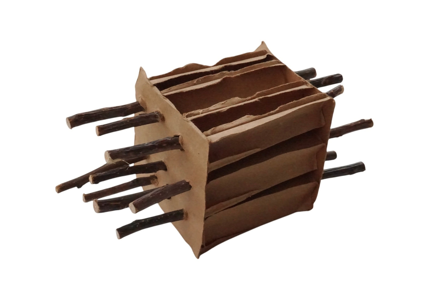 Apple Stick stuffed Cardboard Enrichment