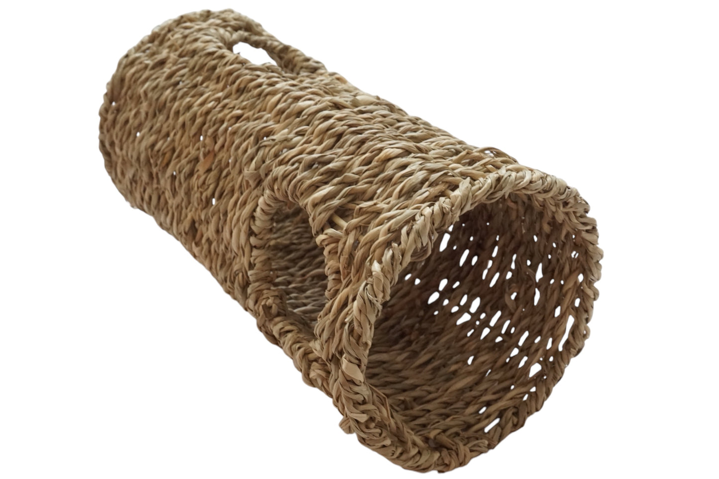 Seagrass Tunnel