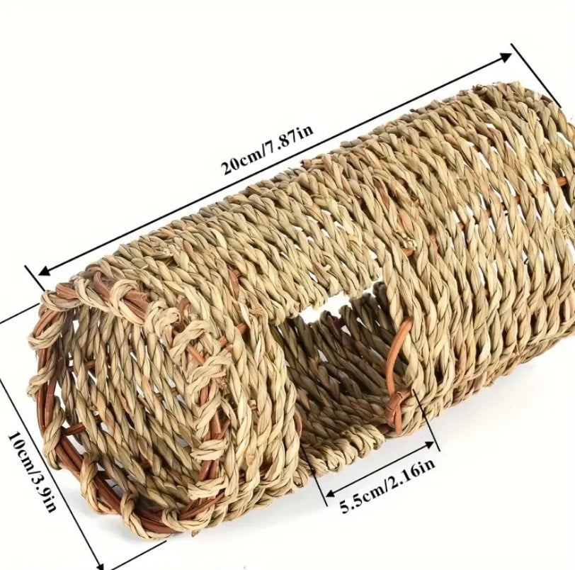 Seagrass Tunnel