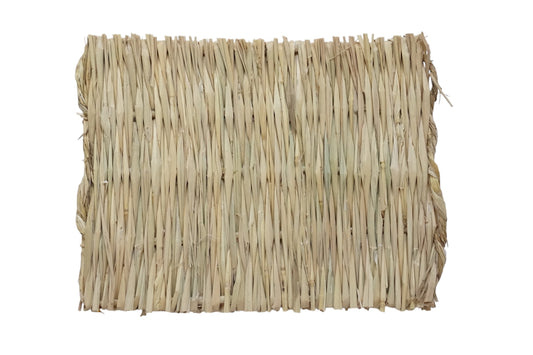 Grassy Seagrass Chew Mat