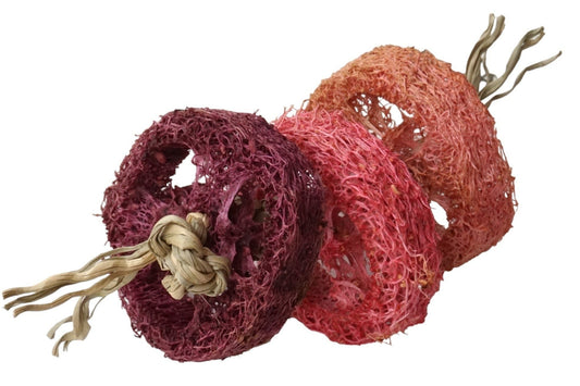 Berry Loofah Fling